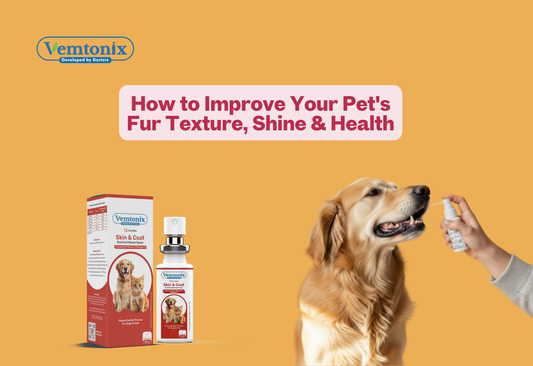 How to Improve Your Pet's Fur Texture, Shine & Health