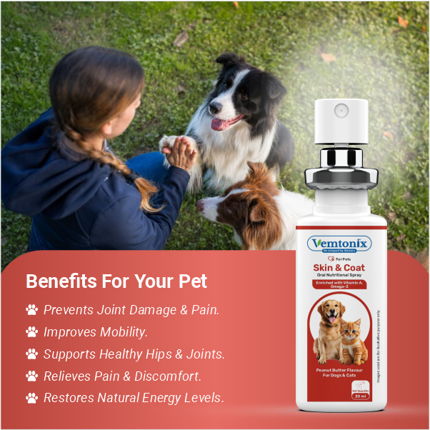 Vemtonix Skin & Coat supplement 