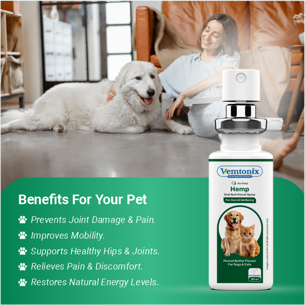 Benefits of Vemtonix Hemp product for pets