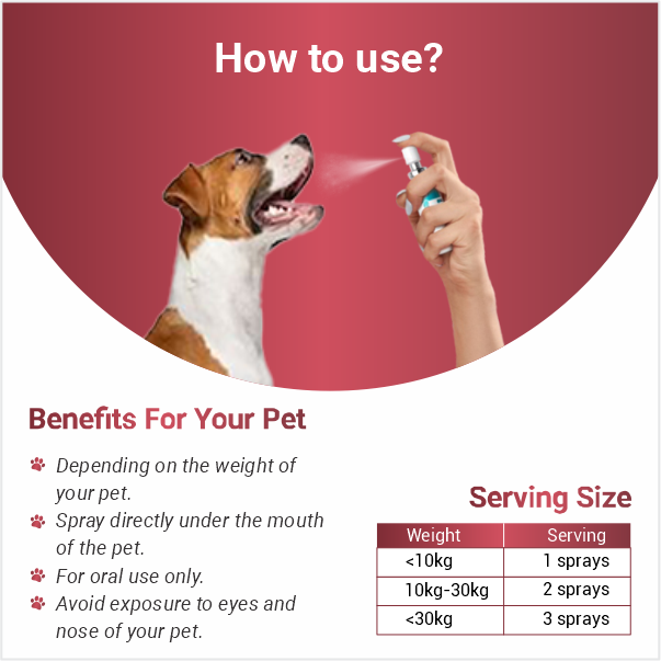 how to use pet spray