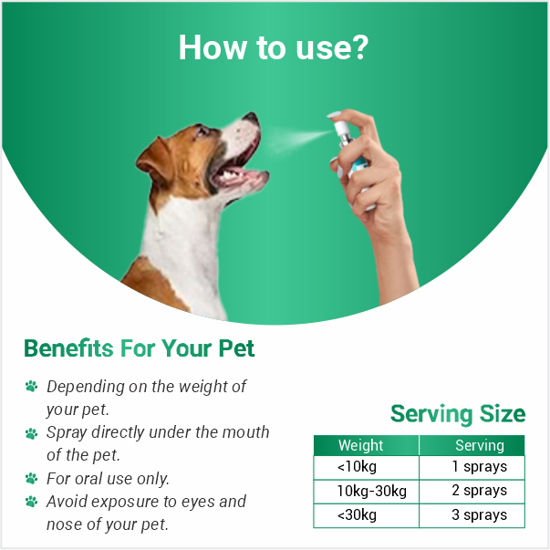 Instructions on how to use a 
Vemonix Hemp product with a dog 