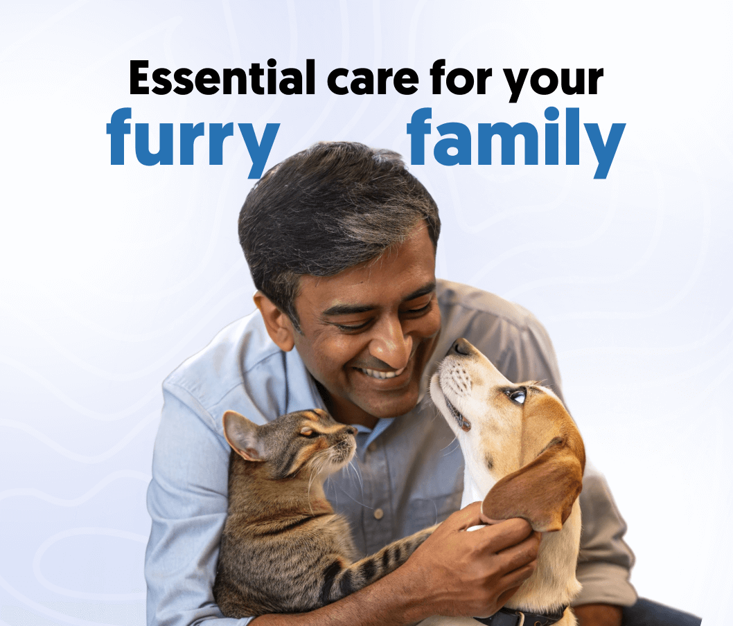 pet care bnr